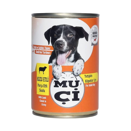 Muçi